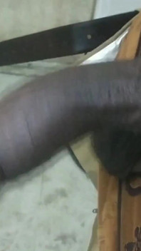 Tamil10inches BBC Compilation Show