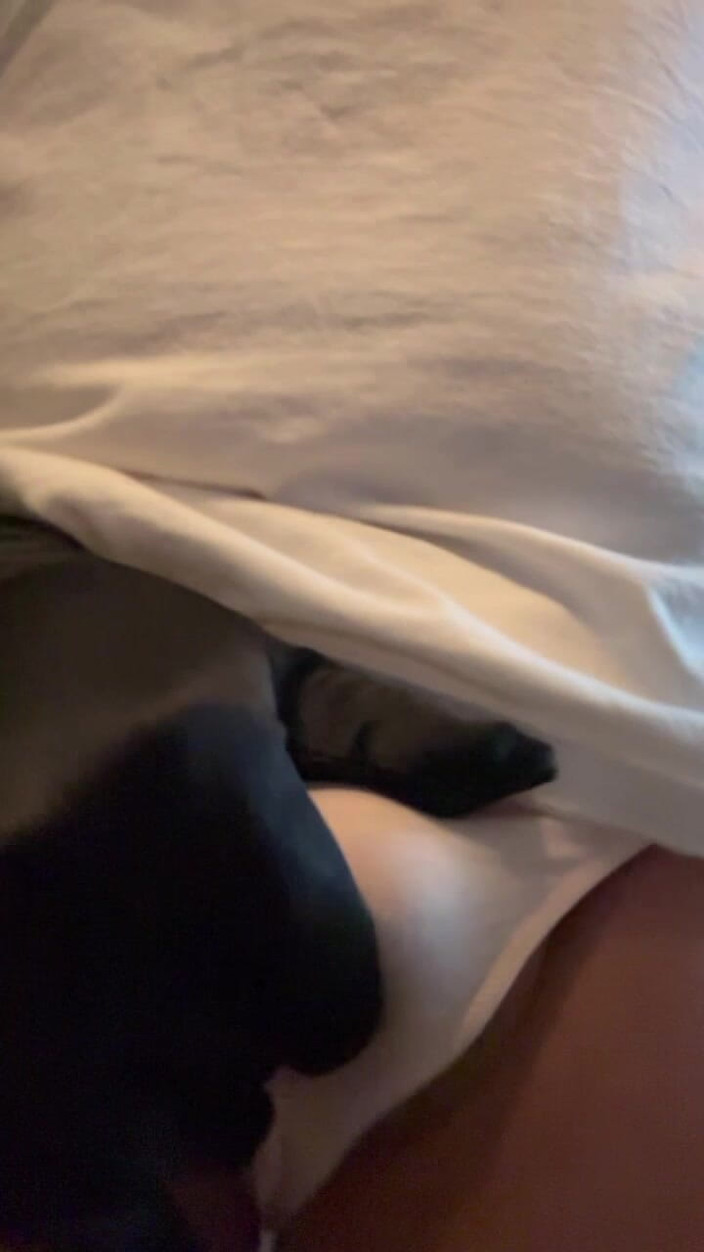 Panty Freak 3017: パンティホール試着