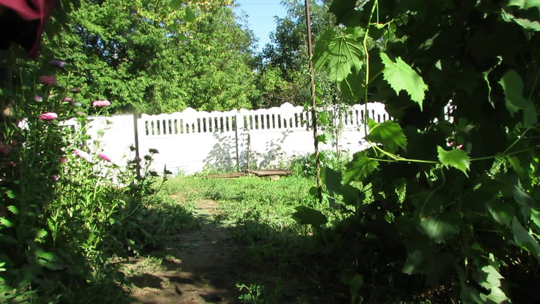 SexyAnka: Condividerò con te le urine che ho raccolto per i...