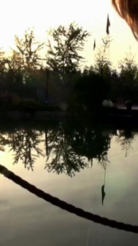 Outdoor orgy sex
