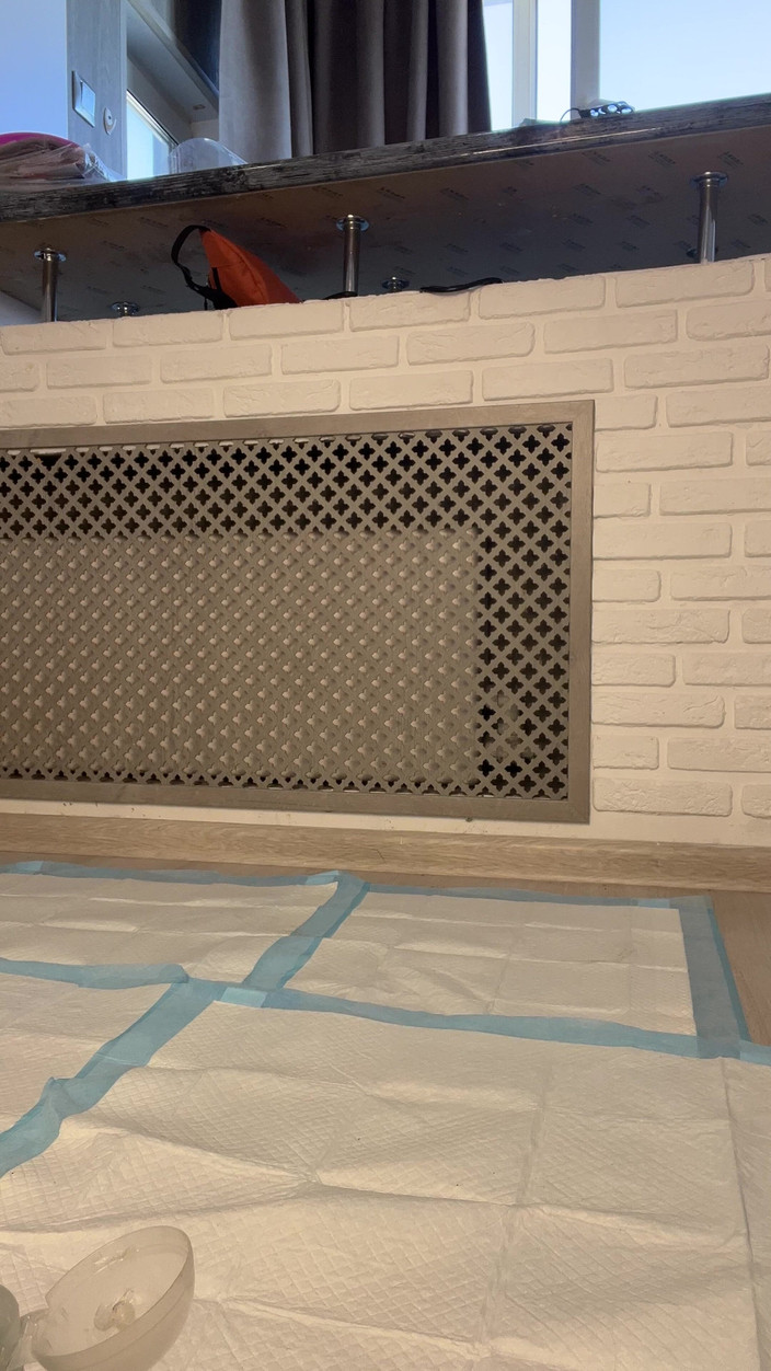 Misty Phoenix: Een poesje neuken als je kont bezet is dubbel bevredigend