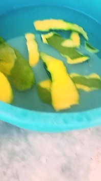 My Greatest Moment of Eating Mango