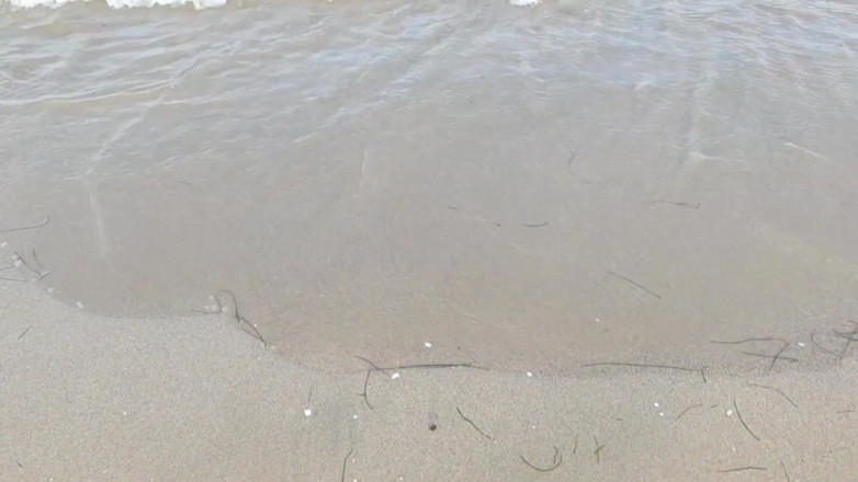 Putarankahotmilf: Teasing and pissing secret on beach