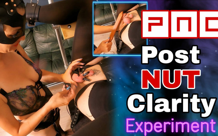 Training Zero: 후 너트 선명도 정액 실험