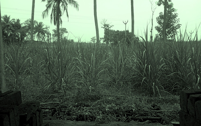 Priyanka314: インドの主婦のおっぱいのアウドールセックス