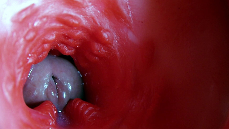 SEXY_GUYBEST: Super qualità un buco bagnato scopa asmr camera dentro