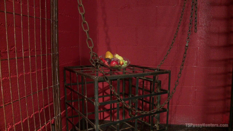 TS Pussy Hunters by Kink: Lisa Tiffian lämnar in till TS Honey Foxxx och hennes...