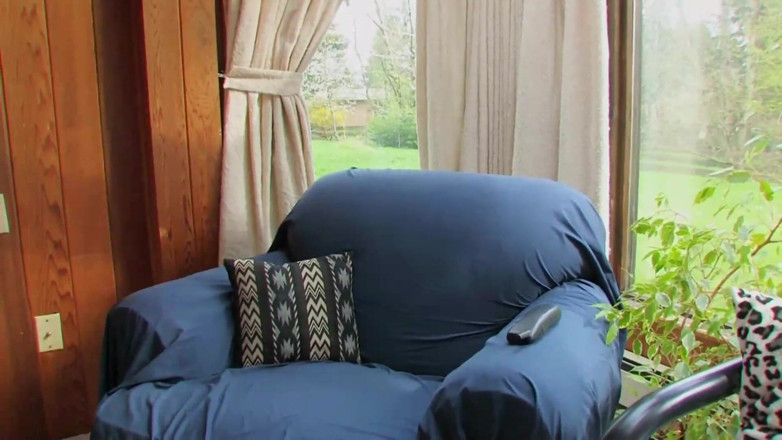 Lesbian Illusion: Amazing sluts on the couch fucking hard