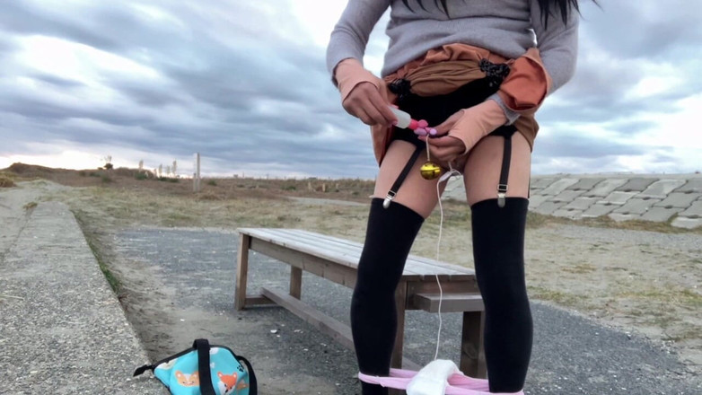 megu2002: Orden de entrenadores nº 29 Exposición pervertida en una playa pública