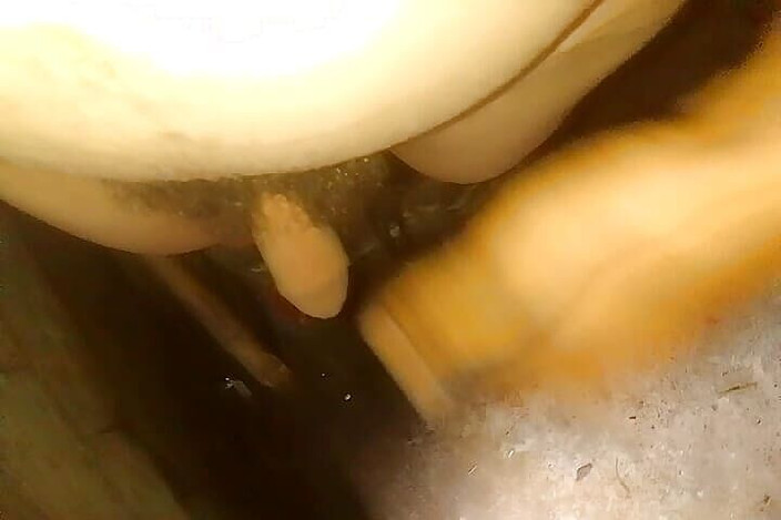 Gangbang straight: Bardzo dobra gra sutka