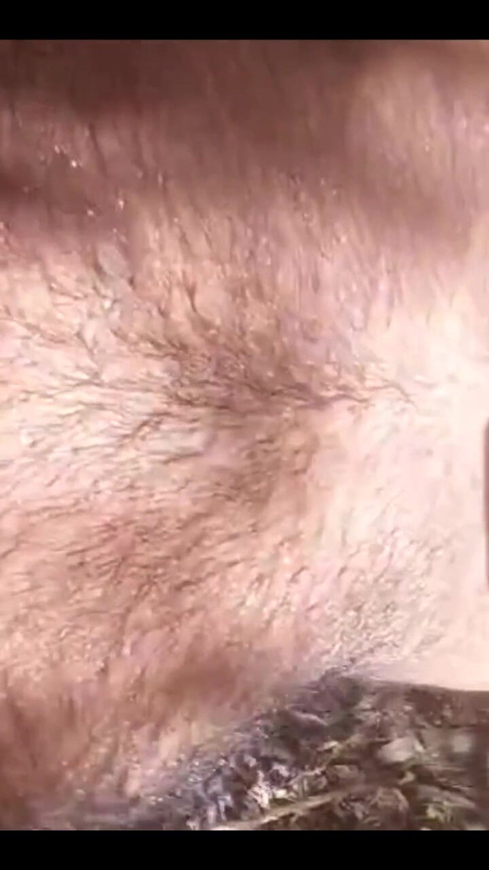 Chonkaye: 나를 따먹어, 야생에서