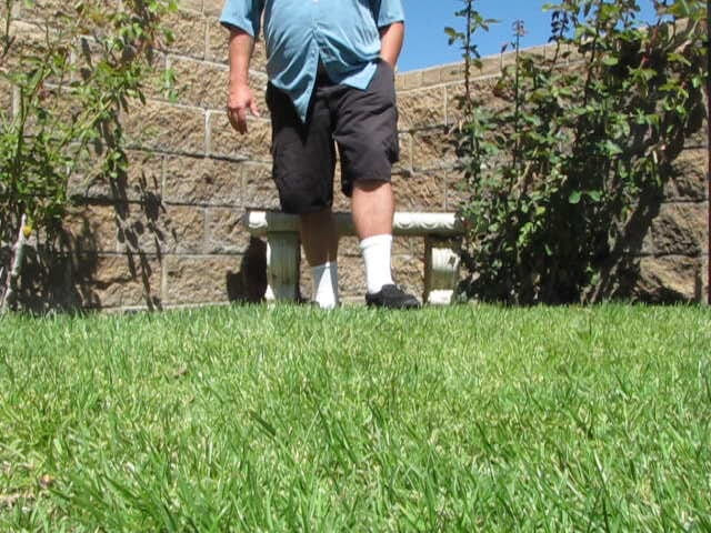 The porky pervert: În aer liber, în parc, ejaculare 4