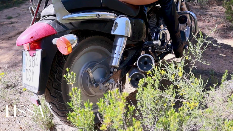 Lissa Brown: Vibrações na minha motocicleta que fazem as plantas se moverem...