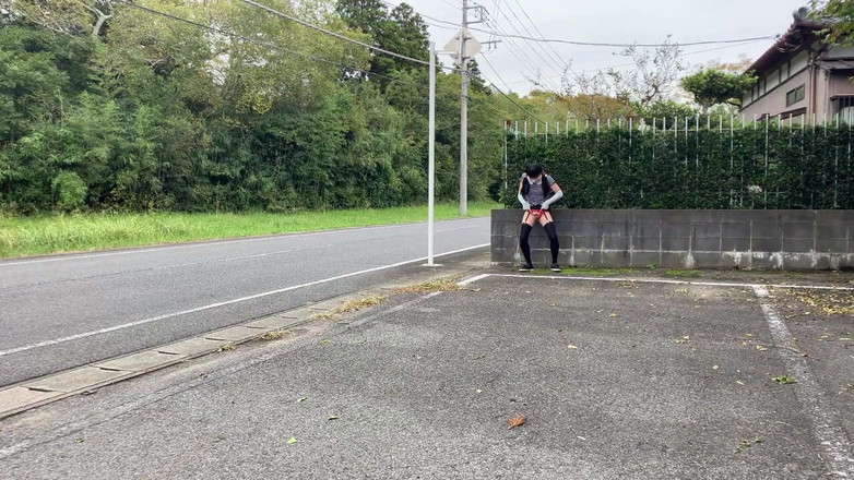 megu2002: 공원 산책로와 주차장에 노출