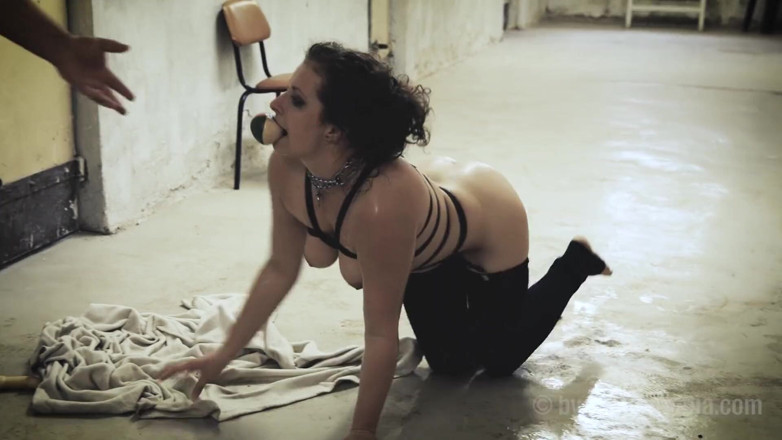 Fetisch by Sextermedia: Petplay - การแสดงหมาบ้า perverted