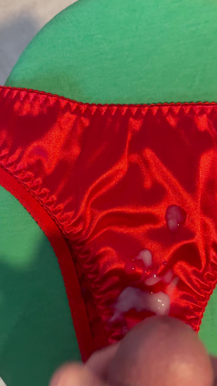 CumDaily: Cum on Wife’s Panties 15