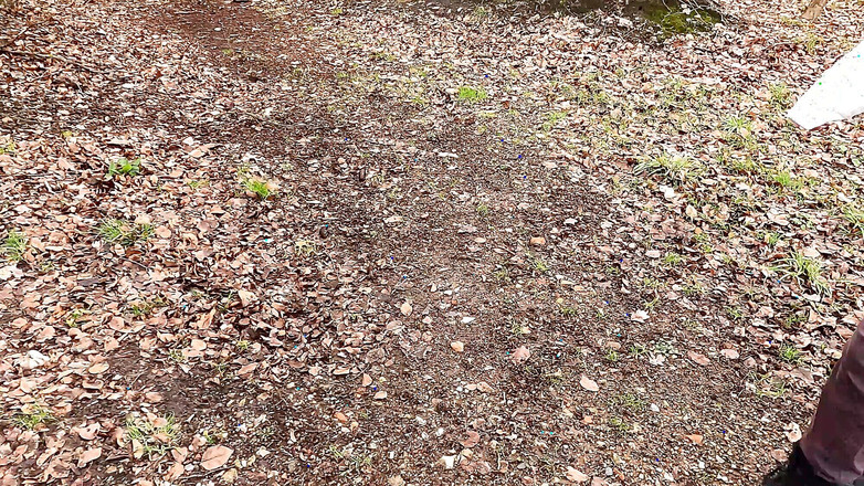 Bouncy Tits Action: 湖边的红奶子