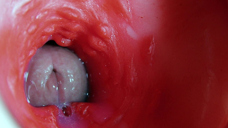 SEXY_GUYBEST: Super kwaliteit Squelchy natte gat Asmr camera binnenin