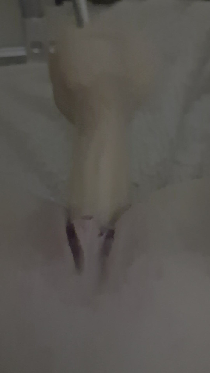 Simone Koelmann: Halo, itu adalah hal yang keren