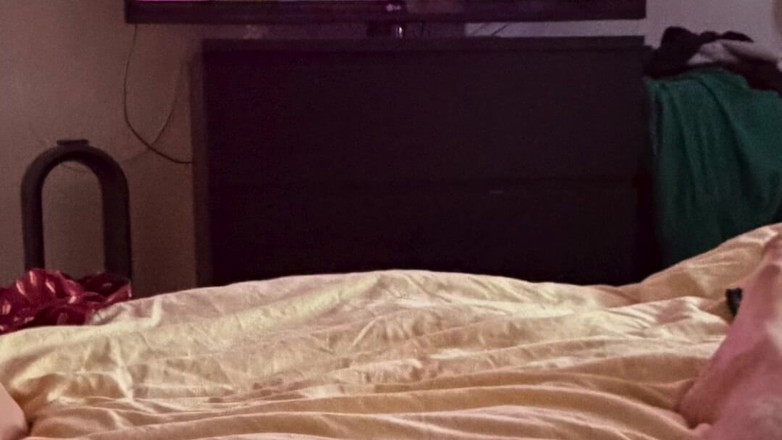 Truridge: Presentación de corridas de polla