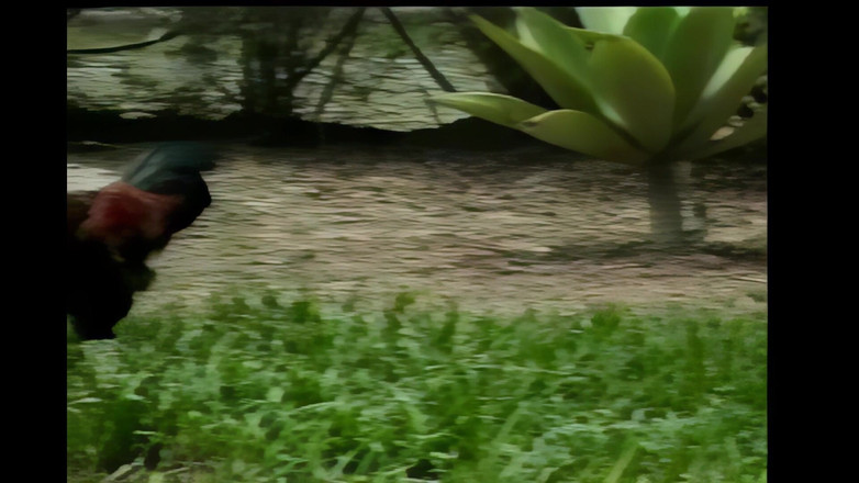 Shemale Vintage MegaStore: Trans Lanet Adam