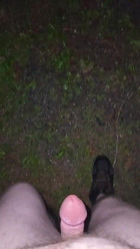Quasi beccato in un parco