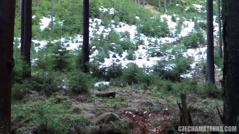 CzechAmateurs: 捷克素人98在婴儿到来前