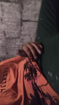 Nemohl jsem dělat porno