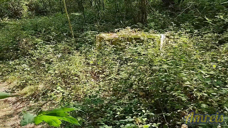 Amreis: Am găsit un loc pentru a ejacula în aer liber în pădure