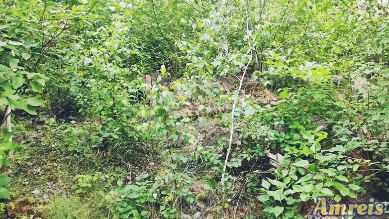 Amreis: Musim panas pancutan mani. bahagian 1. Rehat Semasa Berjalan-Jalan Panjang Berakhir...