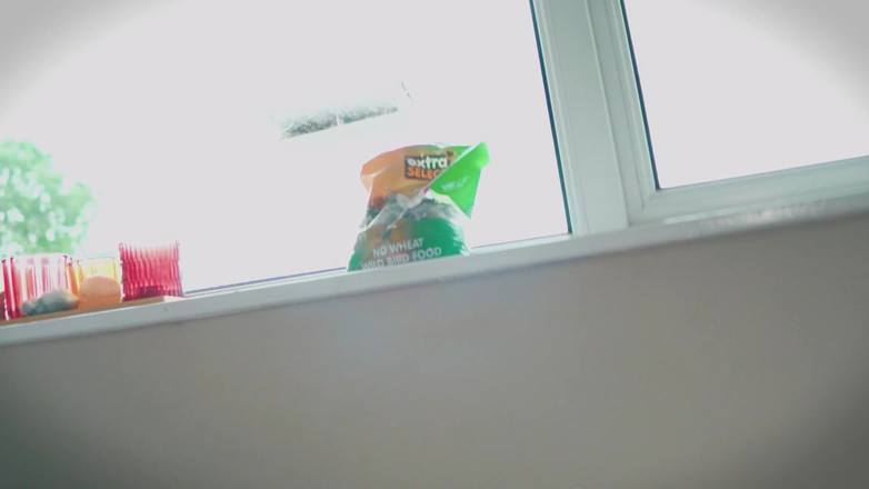 JessieHH: 被我自己的继子活生生地吃掉并吞下全部高清