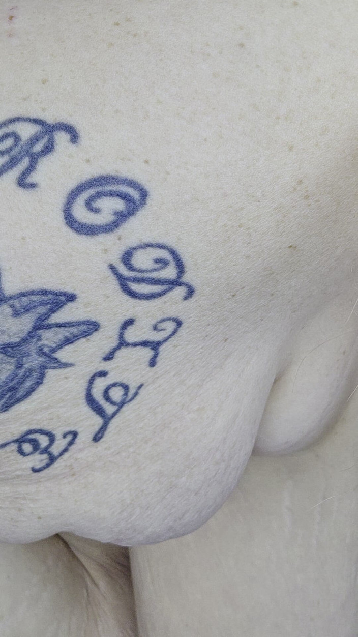 HerculesnVENUS: Pepek menggesel dan memancut mani