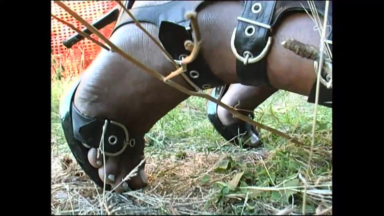 Planet Shemale: Pengalaman seks gila transgender