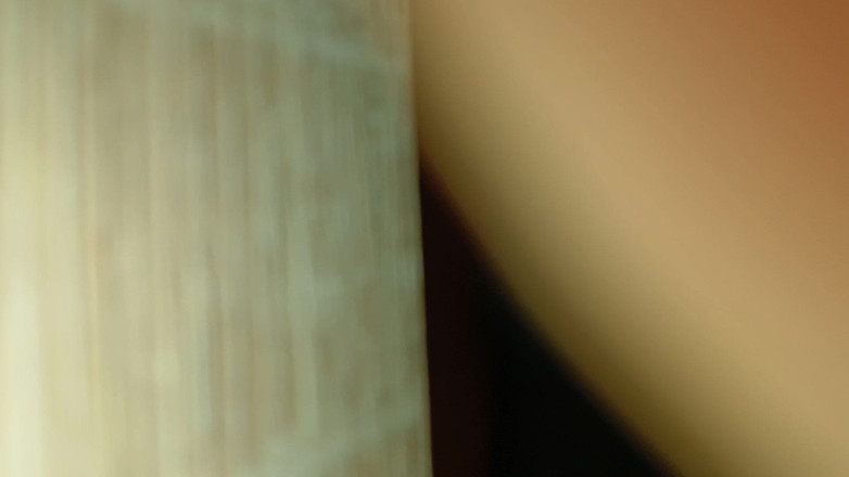 frapla: LOVEC SEXUÁLNÍCH PANENEK