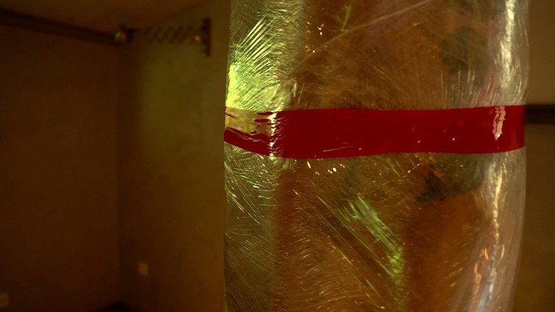 InannaJustice: Una caza de renos de vacaciones