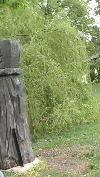 Passeggiata con tette da mungitura ragazza nel parco