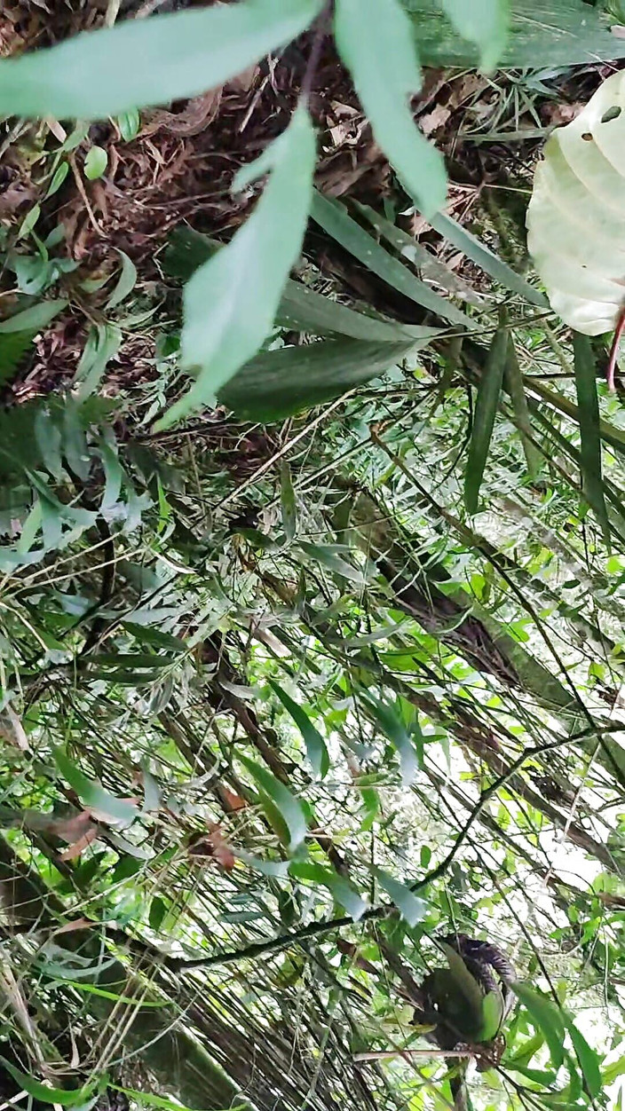 Hornyboy2058: 若い男は道路の下で自慰行為をし、誰かが彼を見ていると思う