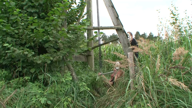 Absolute BDSM: निरपेक्ष बीडीएसएम - गुदा नष्ट और गहरा गर्भाधान