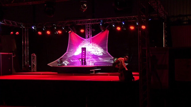 Looners Passion: Blow to Pop en el escenario