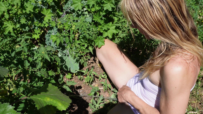 Sav Moolah: Peeing in My Garden to Water the Plants