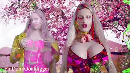 FinDom Goaldigger: Dein schwanz ist steinhart für deine herrin