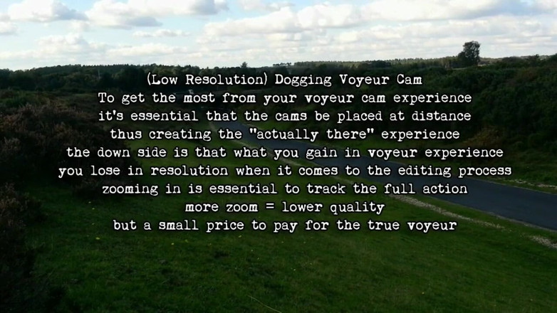 Movies by Louise: Dogging Cam Vol 2 - Tied up