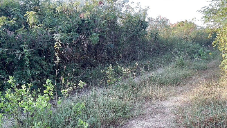 SinglePlayerBKK: 아침에 비타민 D 섭취