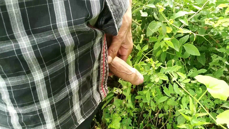 Desimast7: Krásná hrací péro na zahradě