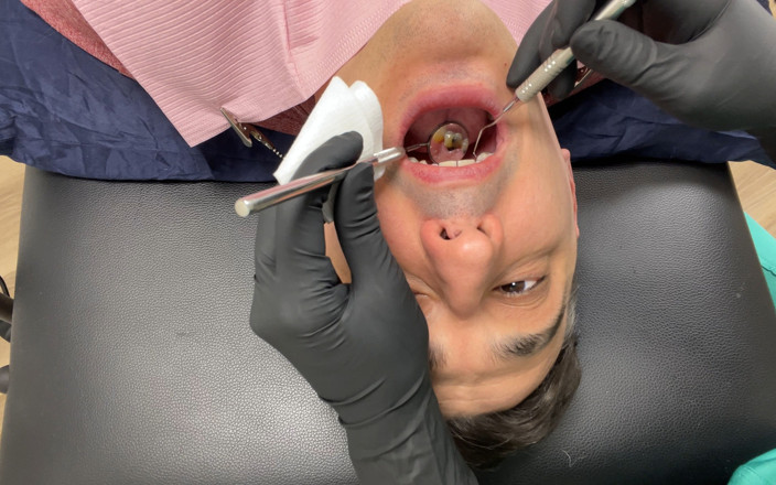 Nurse Bunny: Nurse Bunny Checks Dr. Canada's Teeth Multi Angle