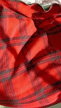 I Caught My Lesbian Roommates Under the Covers and Masturbated to Their Sex