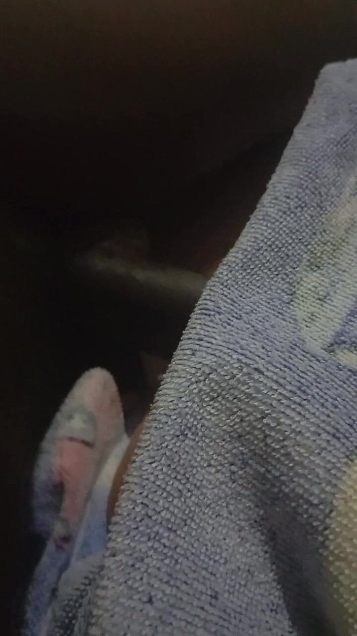 JasperTv1: No Dia dos Namorados