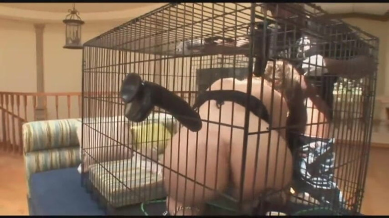 Dat Ass: Blindfolded babe with big ass gets fucked by BBC