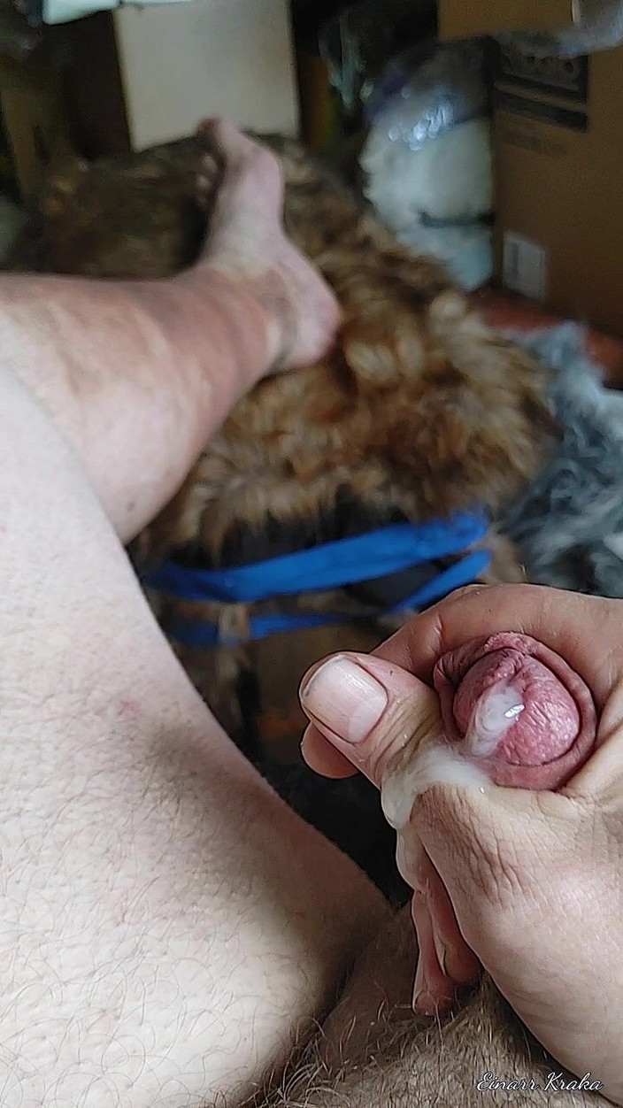 BigManShaman: Tahání ptáka