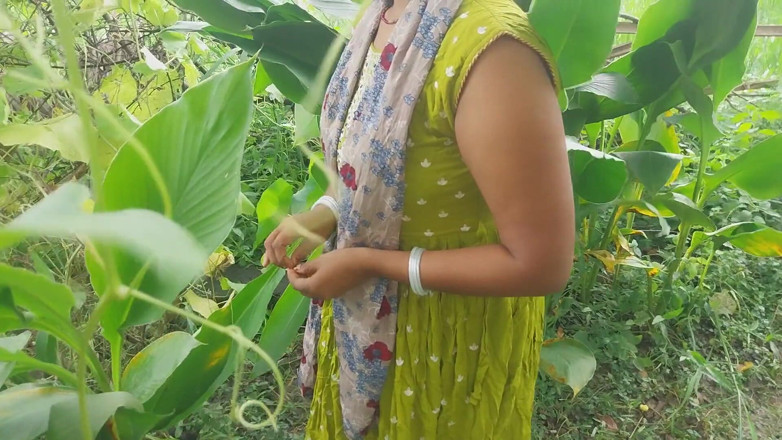 Pooja raniji: Indian Forest Garden Nearby My House Garden Out Side Hot...